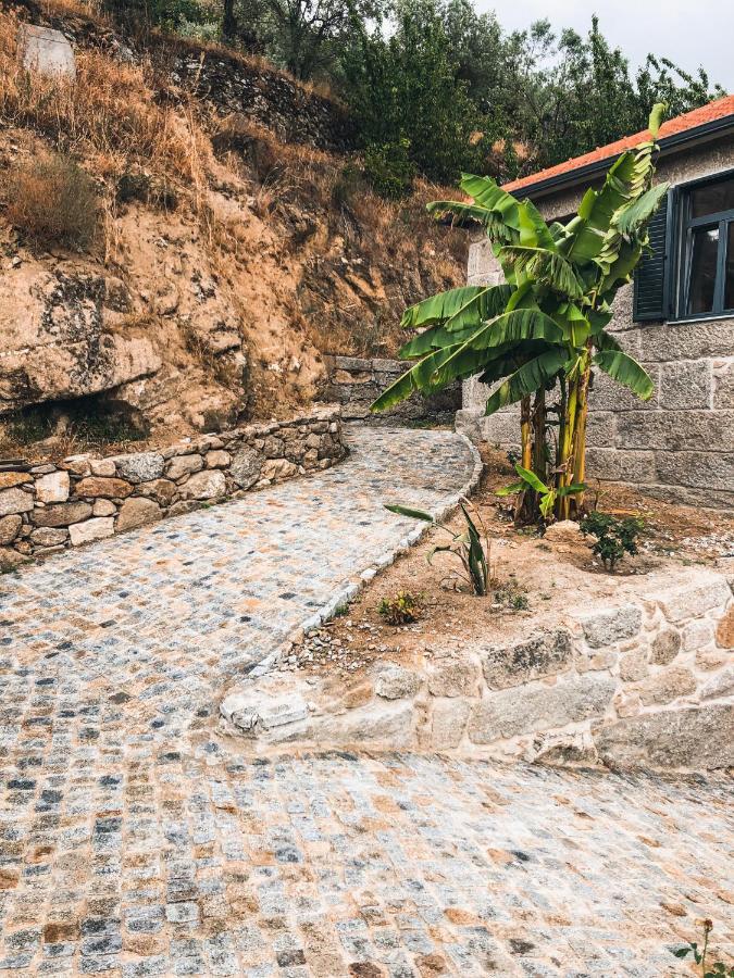 مبيت وإفطار Barro  Quinta Do Fojo Valonguinho, Barro المظهر الخارجي الصورة